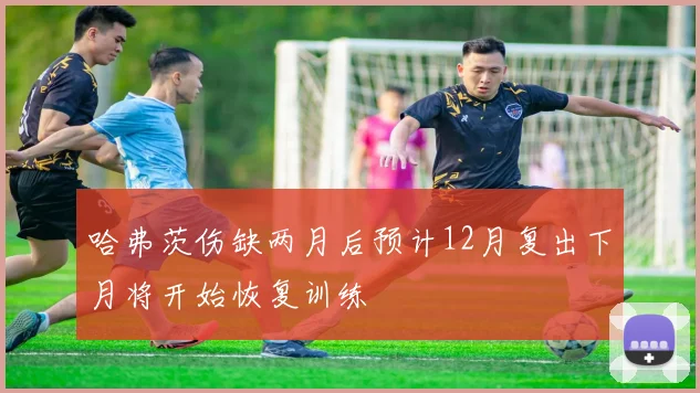 哈弗茨伤缺两月后预计12月复出下月将开始恢复训练